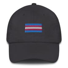 Load image into Gallery viewer, Trans Pride Flag - Dad hat