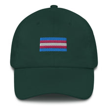 Load image into Gallery viewer, Trans Pride Flag - Dad hat