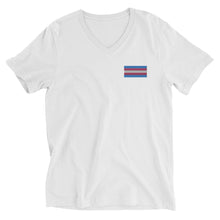 Load image into Gallery viewer, Trans Pride Flag Embroidered Unisex Short Sleeve V-Neck T-Shirt (left chest)