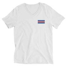 Load image into Gallery viewer, Trans Pride Flag Embroidered Unisex Short Sleeve V-Neck T-Shirt (left chest)
